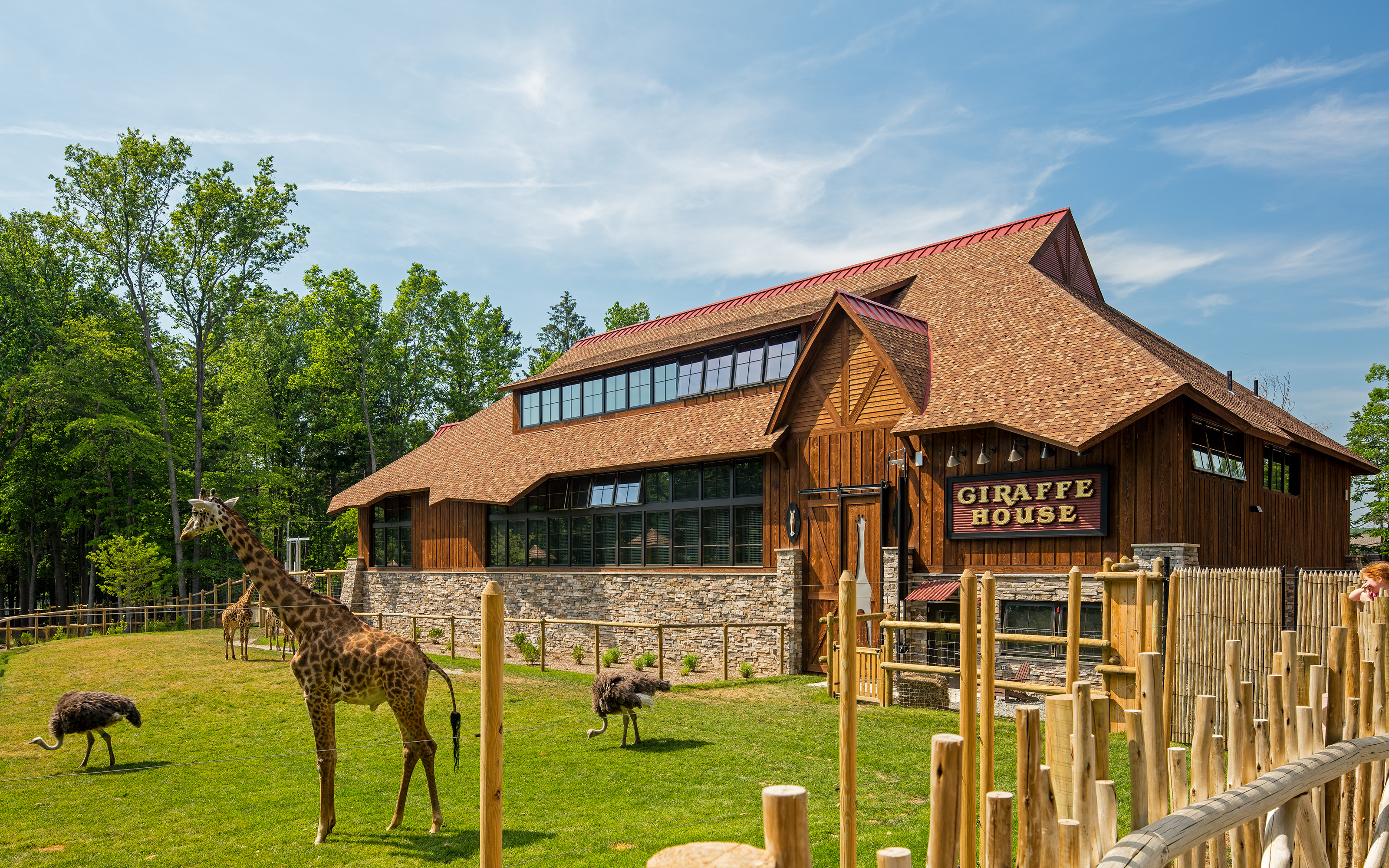 Giraffe House + Exhibit