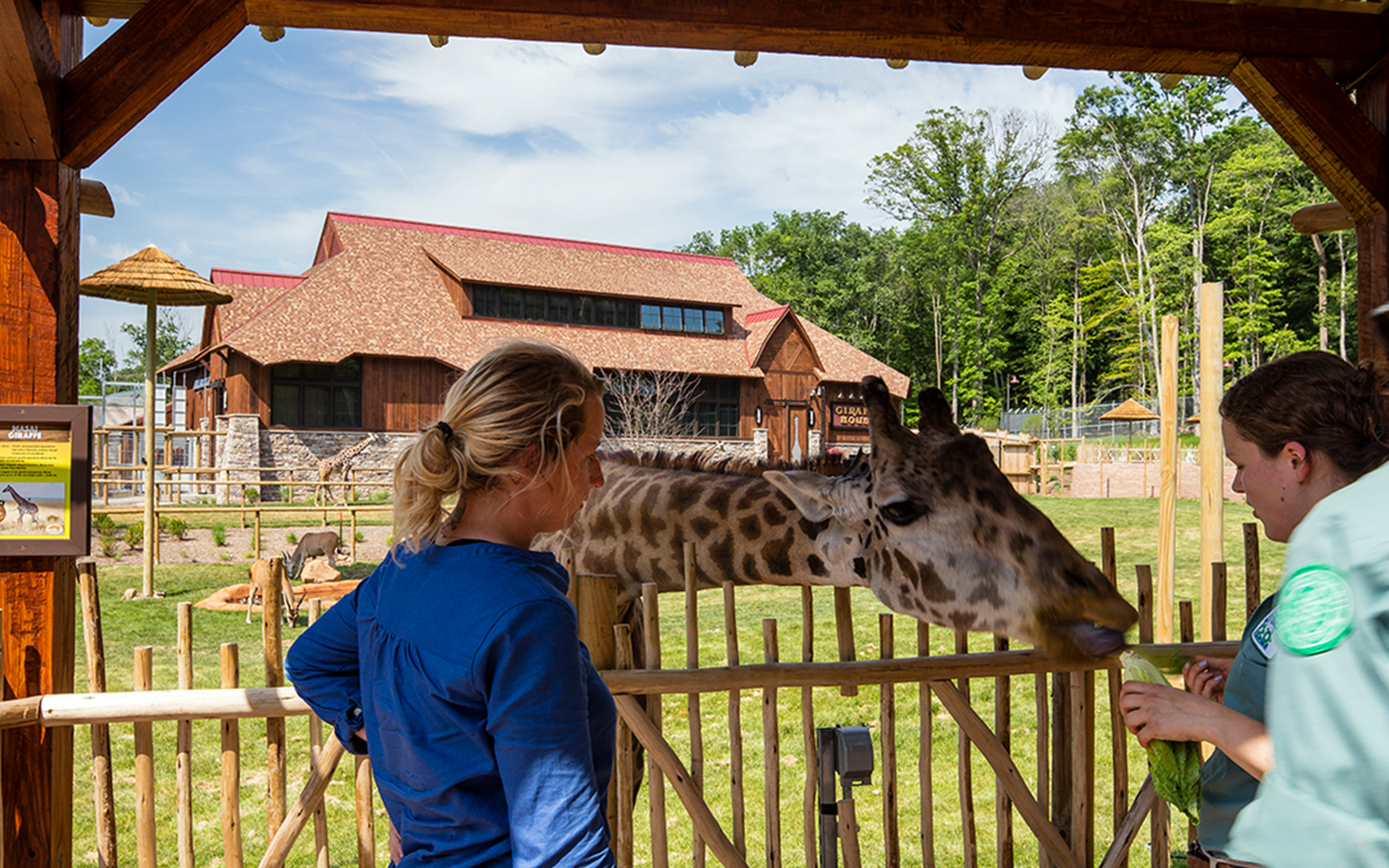 Giraffe House + Exhibit